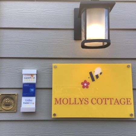 Mollys Cottage-The Suite On Vancouver Island Near Yyj Airport And The Wa And Bc Ferries North Saanich Exteriör bild